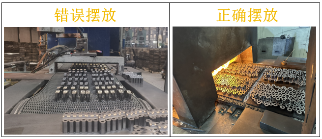 微信图片_20240816105528