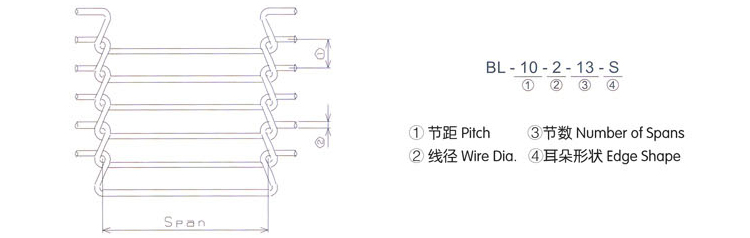 乙型网带结构图
